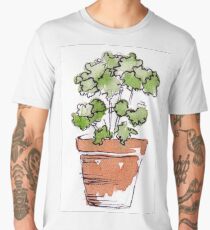 Herbs in pots - Parsley Men's Premium T-Shirt