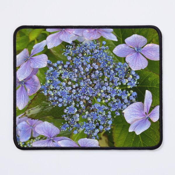 Item preview, Blue Hydrangea Flowers and Buds designed and sold by Sinemathk.