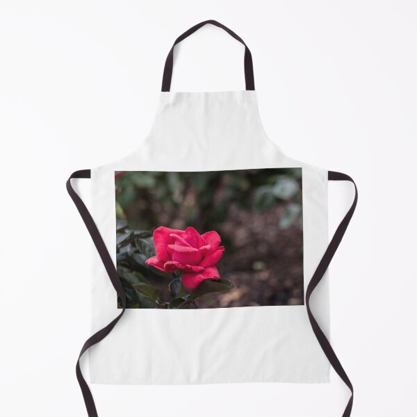 Item preview, A Red Beauty designed and sold by Tootalled Photography .