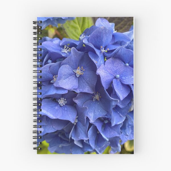 Item preview, Raindrops on Blue Hydrangea Flowers designed and sold by Sinemathk.
