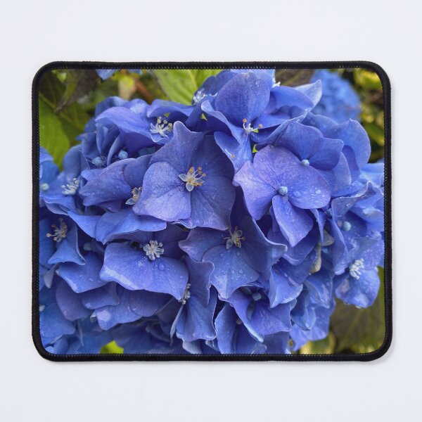 Item preview, Raindrops on Blue Hydrangea Flowers designed and sold by Sinemathk.