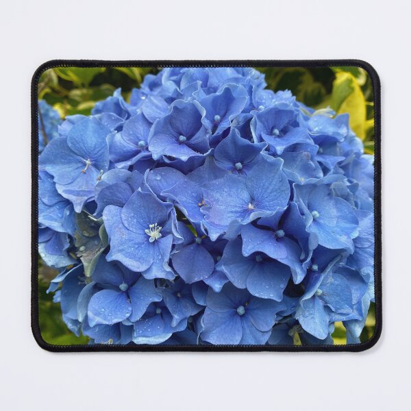 Item preview, Blue Hydrangea Flower Bush designed and sold by Sinemathk.