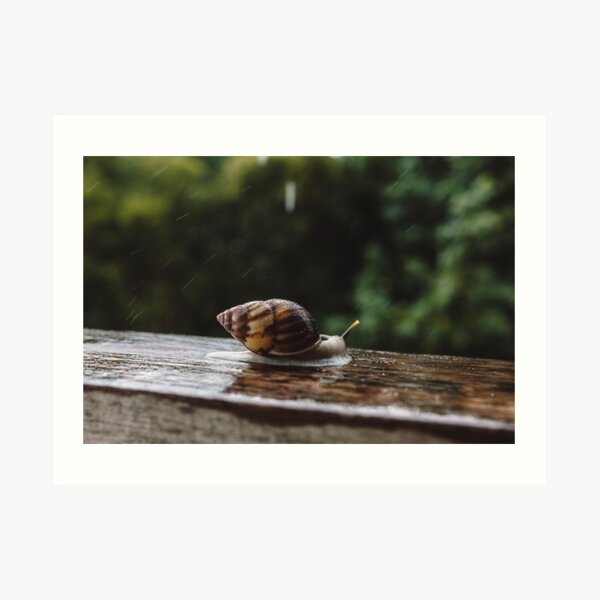 m a n y . p a c e s Art Print