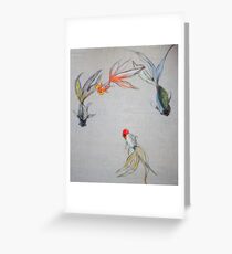 Goldfish Pond (close up #8) Greeting Card