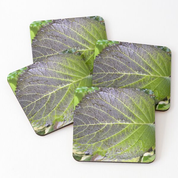 Item preview, Vein Lines on a Green Leaf designed and sold by Sinemathk.