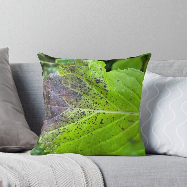 Item preview, Closeup of a Decaying Leaf designed and sold by Sinemathk.