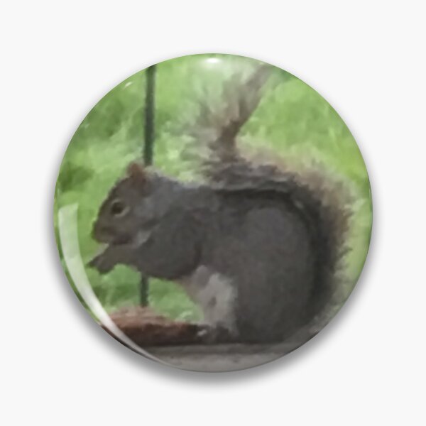 Item preview, Squirrel! designed and sold by Amanda1775.