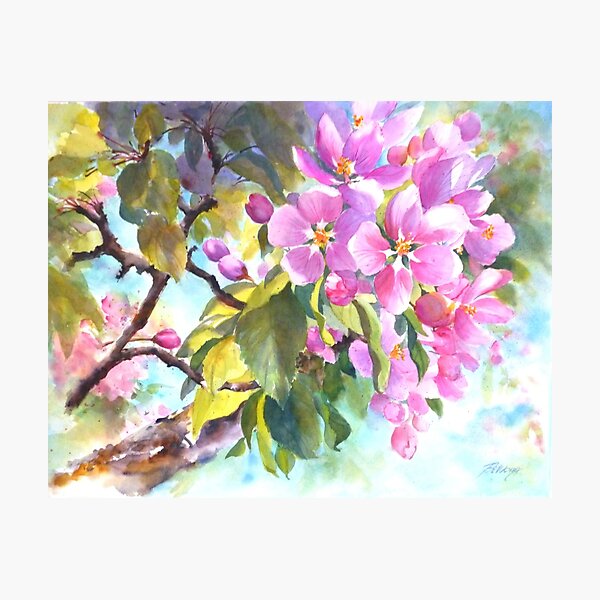 Abundant Grace Photographic Print
