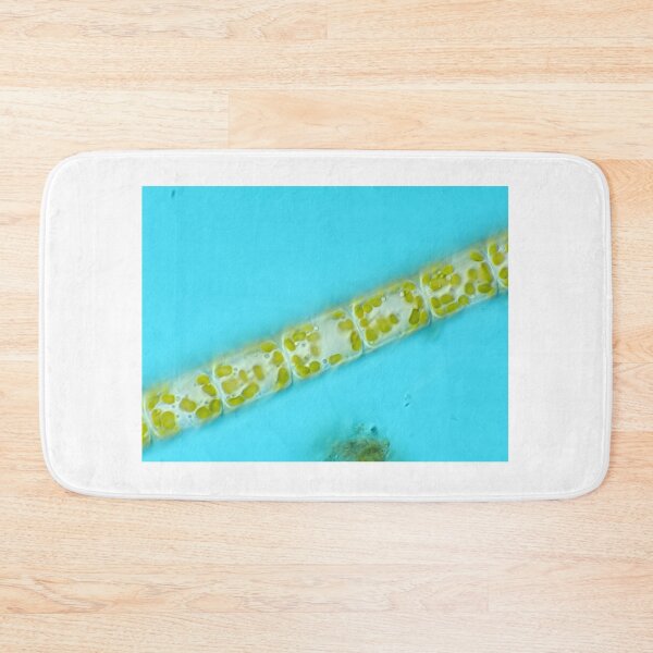 Item preview, Melosira diatoms under the microscope designed and sold by SDym Photography.