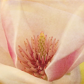 Artwork thumbnail, Spring Sign by Margi