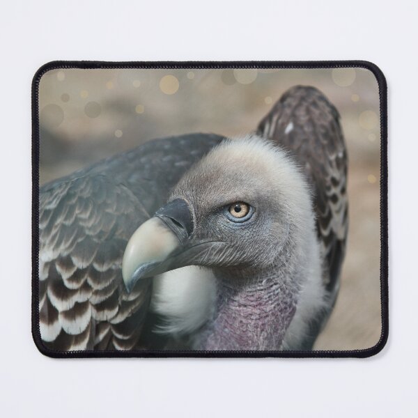 Item preview, Vulture look designed and sold by KeiKeiCreative.