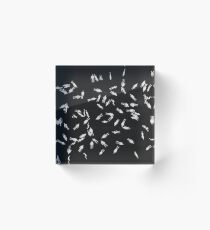 Suburbia Acrylic Block