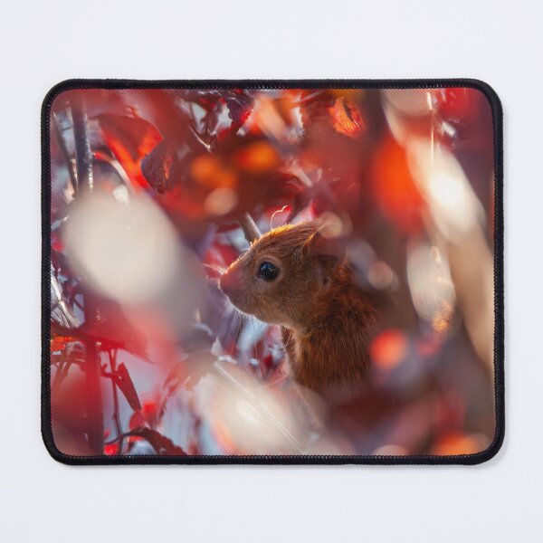 Item preview, Squirrel in autumn leaves designed and sold by Ingo Gerlach.