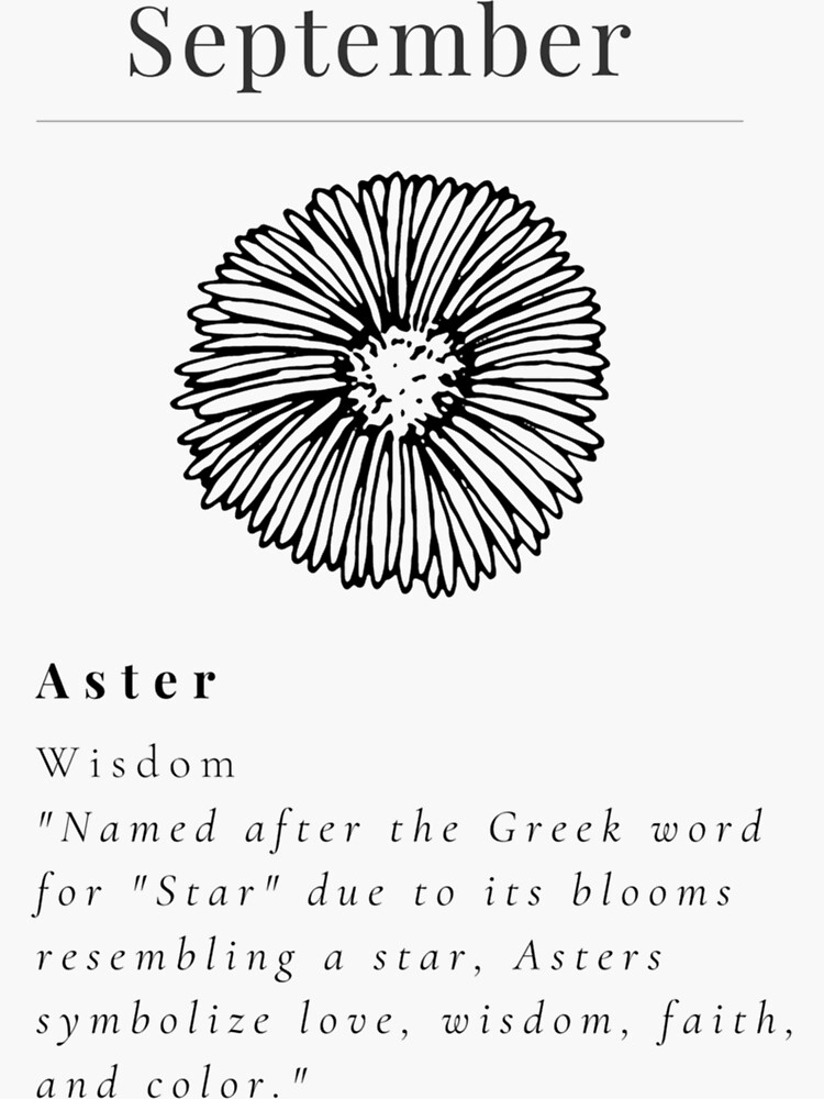 "Minimalistic Birth flower September Aster flower meaning Wisdom