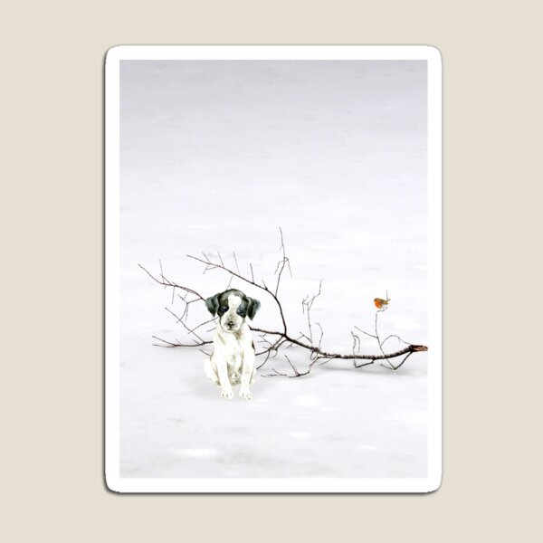 Aperçu de l'œuvre Amis d'hiver. créée et vendue par Rubyblossom.