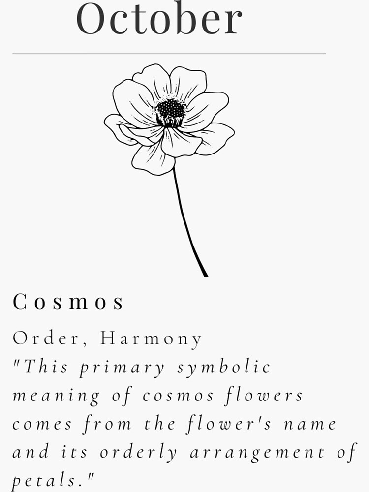 Hand drawn cosmos flower - vector decoration • wall stickers tattoo,  closeup, drawing | myloview.com