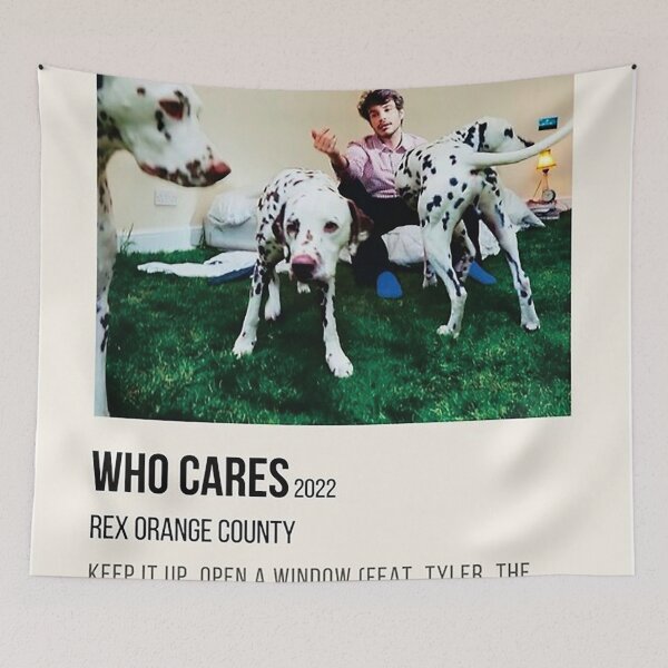 Item preview, rex orange county who cares || rex orange county who cares? Poster designed and sold by Robinson-lindd.