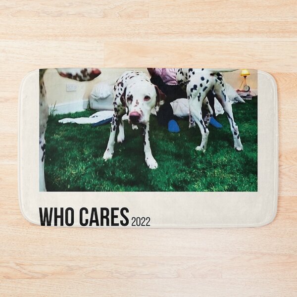 Item preview, rex orange county who cares || rex orange county who cares? Poster designed and sold by Robinson-lindd.