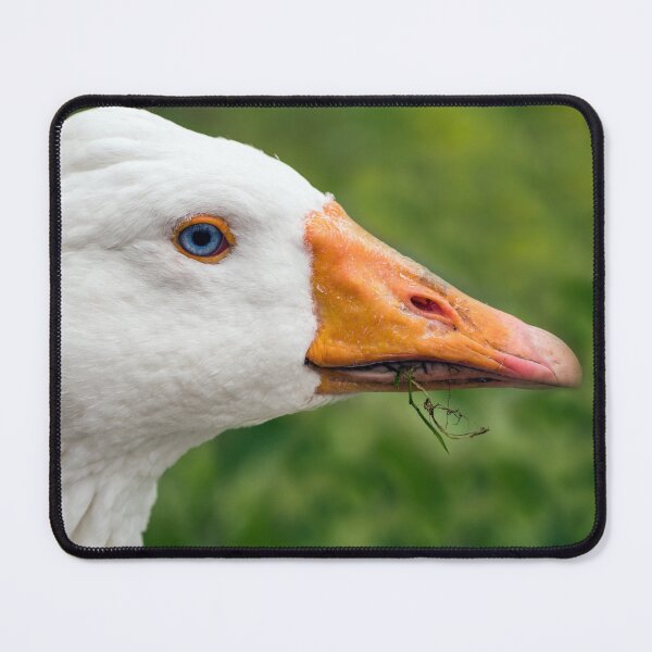 Item preview, Goosey Goosey Gander designed and sold by cmphotographs.
