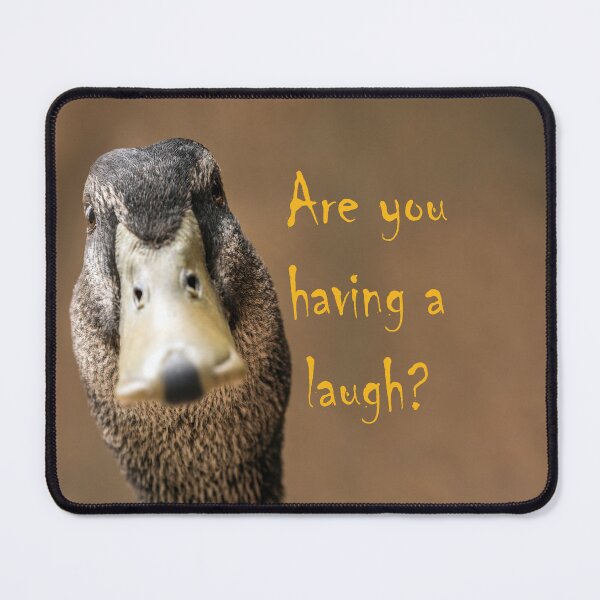 Item preview, A funny duck designed and sold by cmphotographs.
