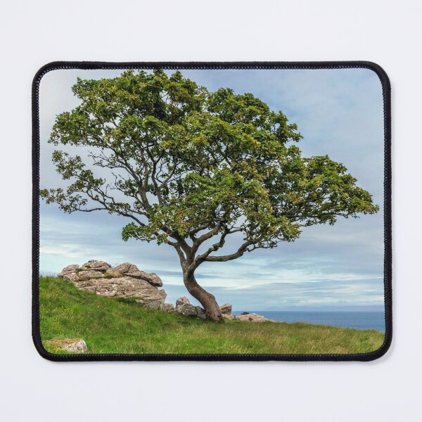 Item preview, Murlough Bay Tree designed and sold by cmphotographs.