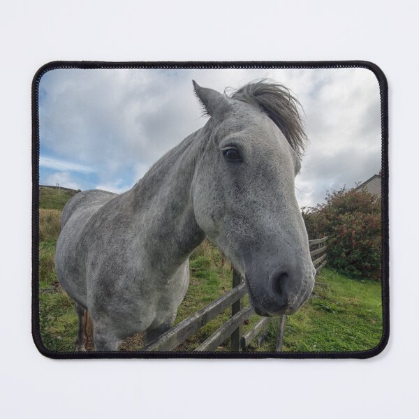 Item preview, horse designed and sold by cmphotographs.