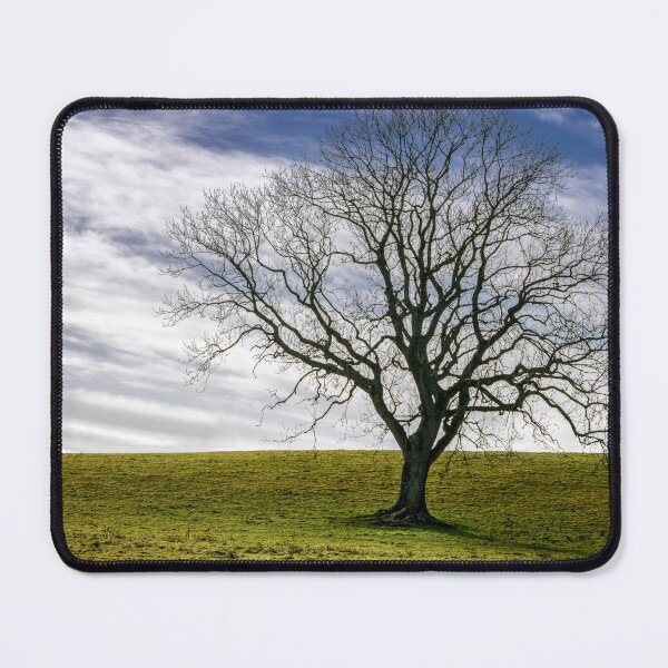 Item preview, Stand Proud designed and sold by cmphotographs.