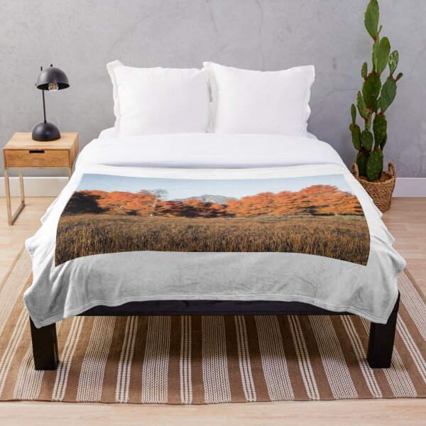 Item preview, Mount Moran Between Autumn Trees designed and sold by Dan9900.