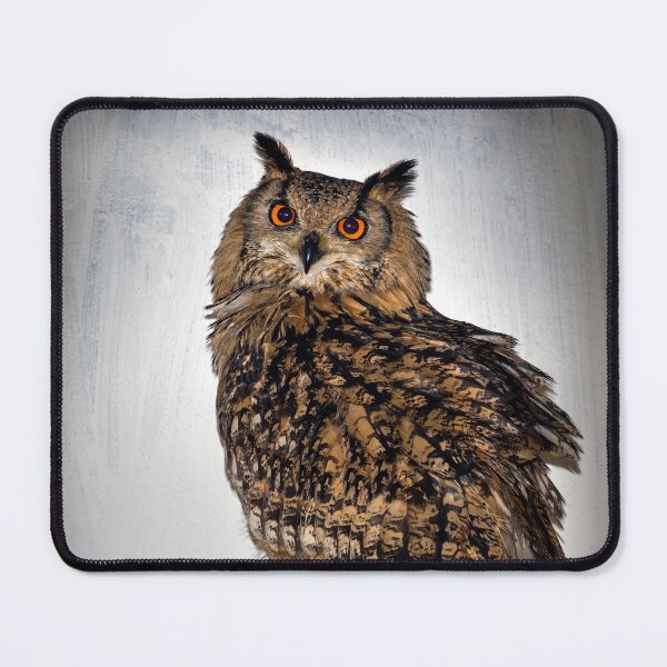 Item preview, Long Eared Owl designed and sold by cmphotographs.