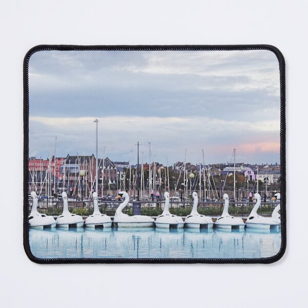 Item preview, Pickie Park - Bangor designed and sold by cmphotographs.
