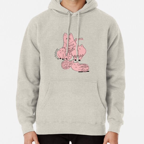 Happy kitties Happy cats Pullover Hoodie