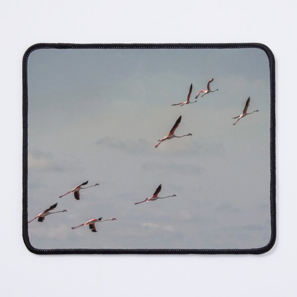 Item preview, Pink Flamingos designed and sold by cmphotographs.