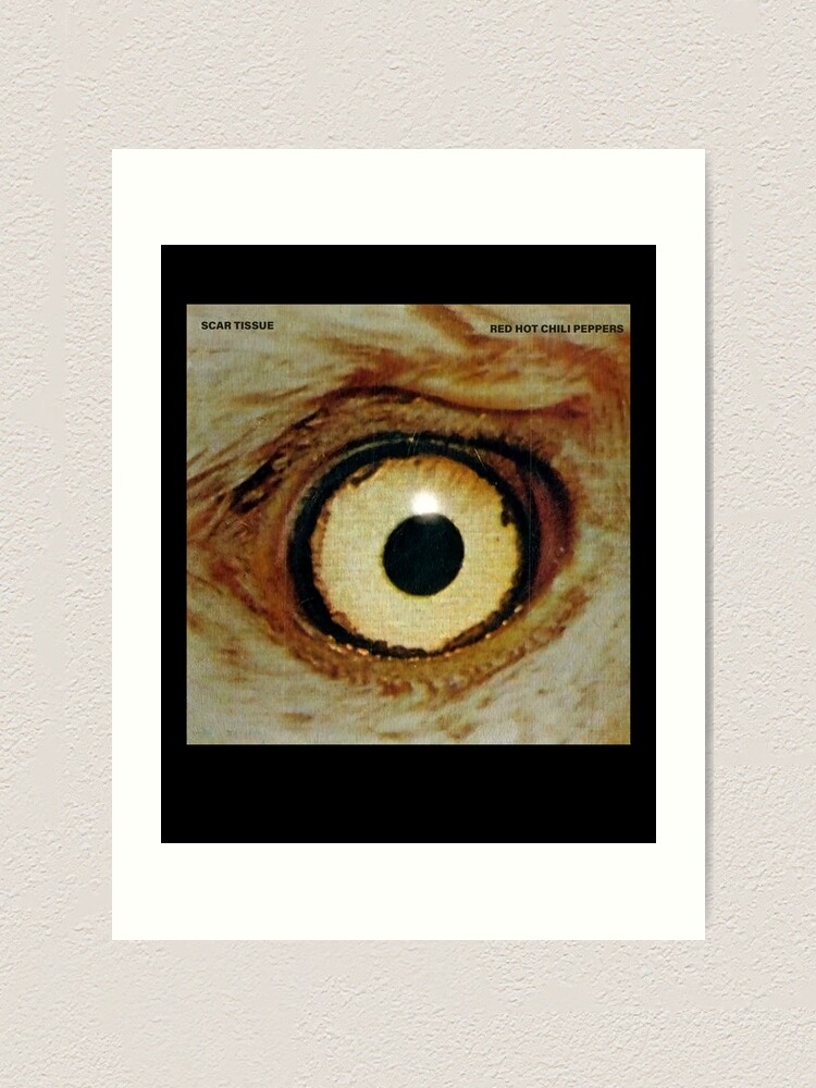 "Réd Hót Chili Péppers Scar Tissue Album Cover" Art Print for Sale by