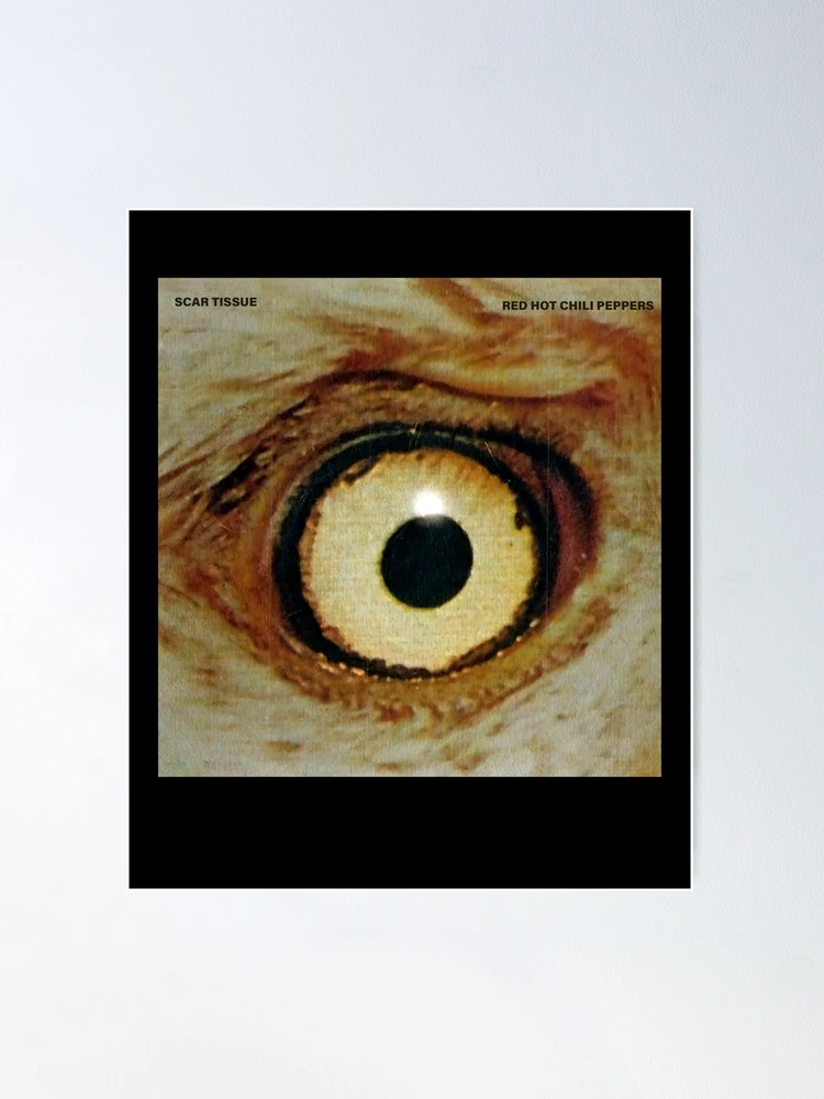 洋楽 RED HOT CHILI PEPPERS/SCAR TISSUE Amazon.com: Scar Tissue / Gong Li / Instrumental #1: CDs & Vinyl