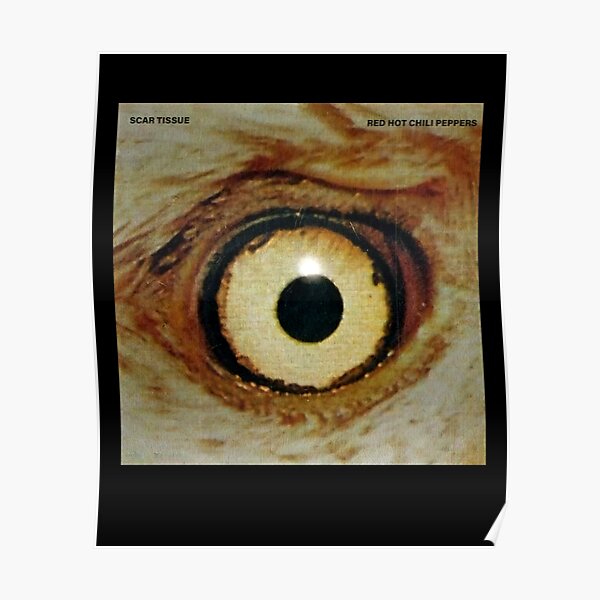 "Réd Hót Chili Péppers Scar Tissue Album Cover" Poster for Sale by