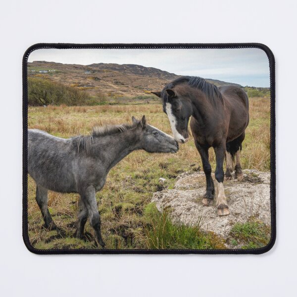 Item preview, Two Irish Horses Kissing designed and sold by cmphotographs.