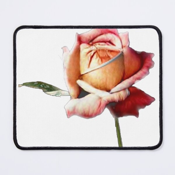 Item preview, Beautiful Single Pink Rose designed and sold by mrtom414.