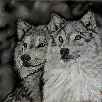 Artwork thumbnail, Two Wolves by collydavid