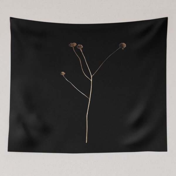 Item preview, Dried plant flowers, dried flowers, flowers and plants designed and sold by sinmsroeldy.
