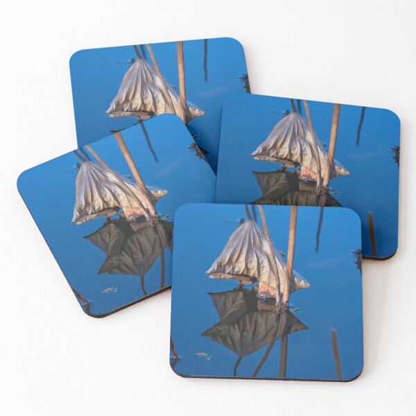 Item preview, Only in Still Water designed and sold by Linda Lees.