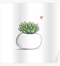 Succulent in Plump White Planter Poster