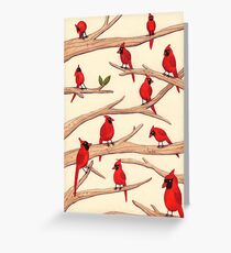 Cardinals Greeting Card