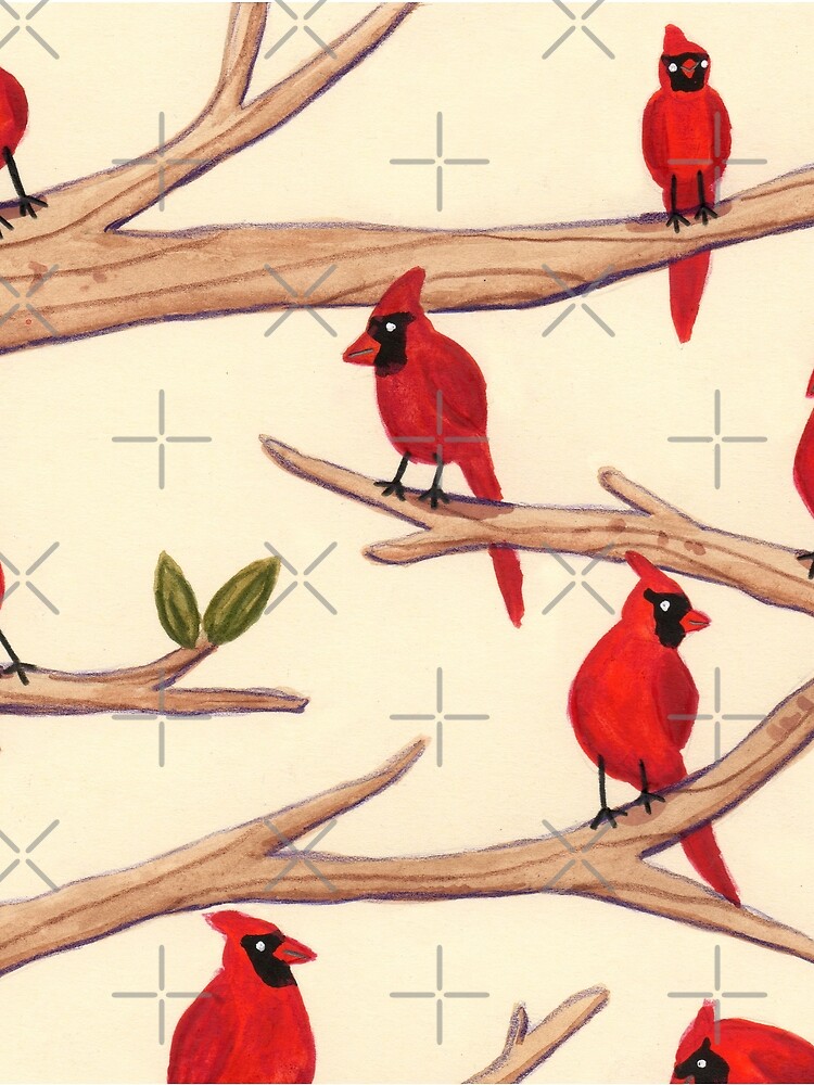 Cardinals by SophieCorrigan