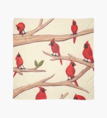 Cardinals Scarf