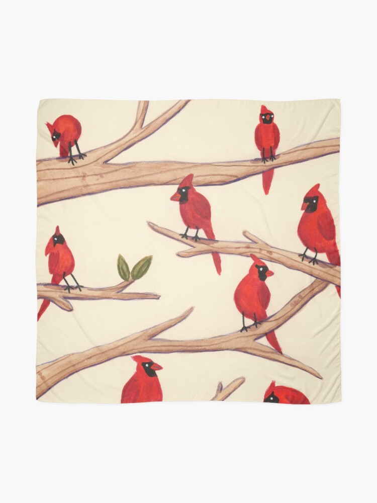 Alternate view of Cardinals Scarf