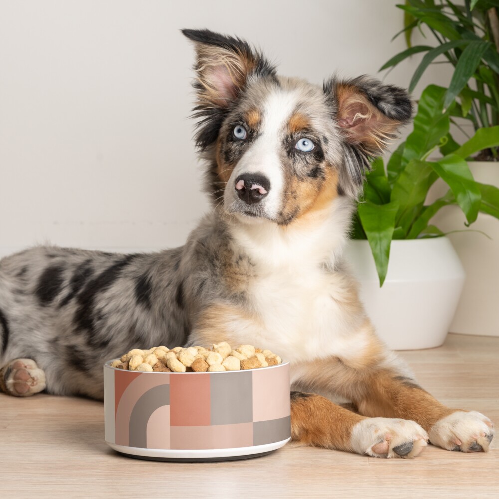 Item preview, Pet Bowl designed and sold by designdn.