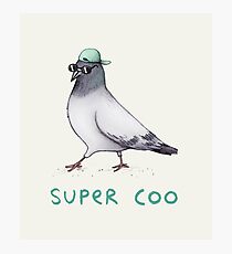 Super Coo Photographic Print