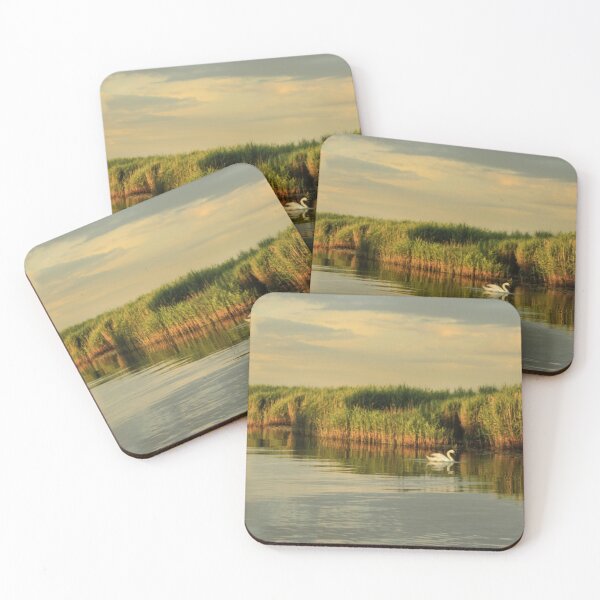 Item preview, Old swan swims amongst the reeds  designed and sold by rgrayling.