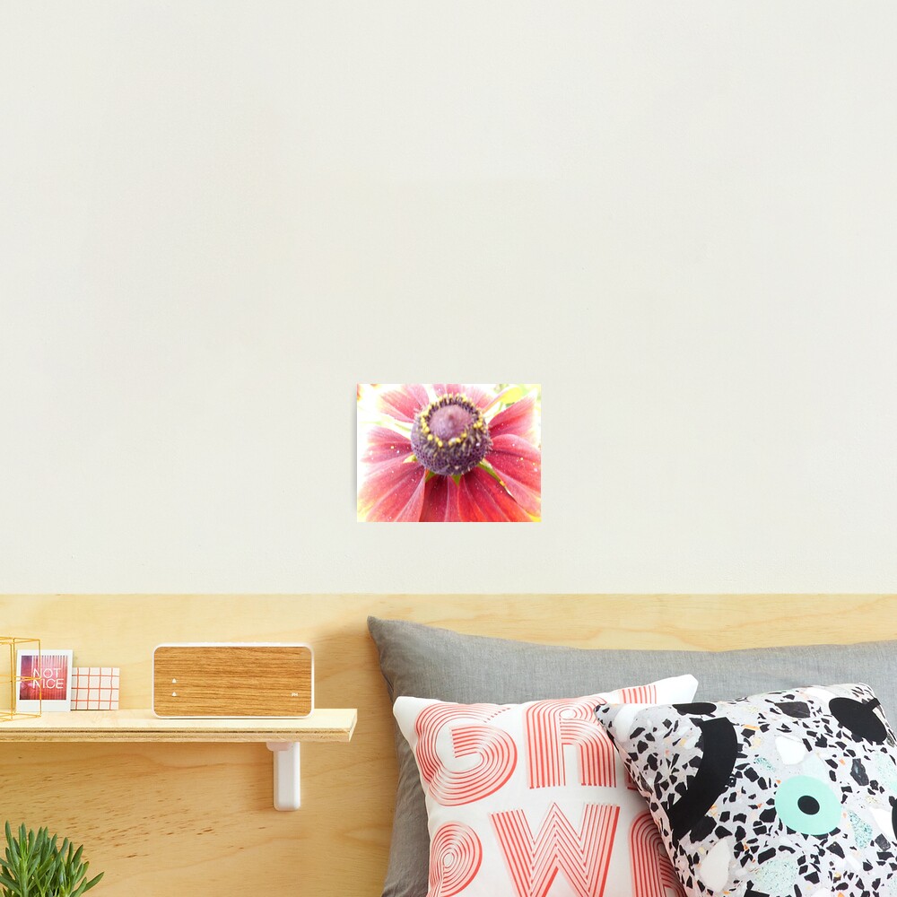 Item preview, Photographic Print designed and sold by creativenicky.