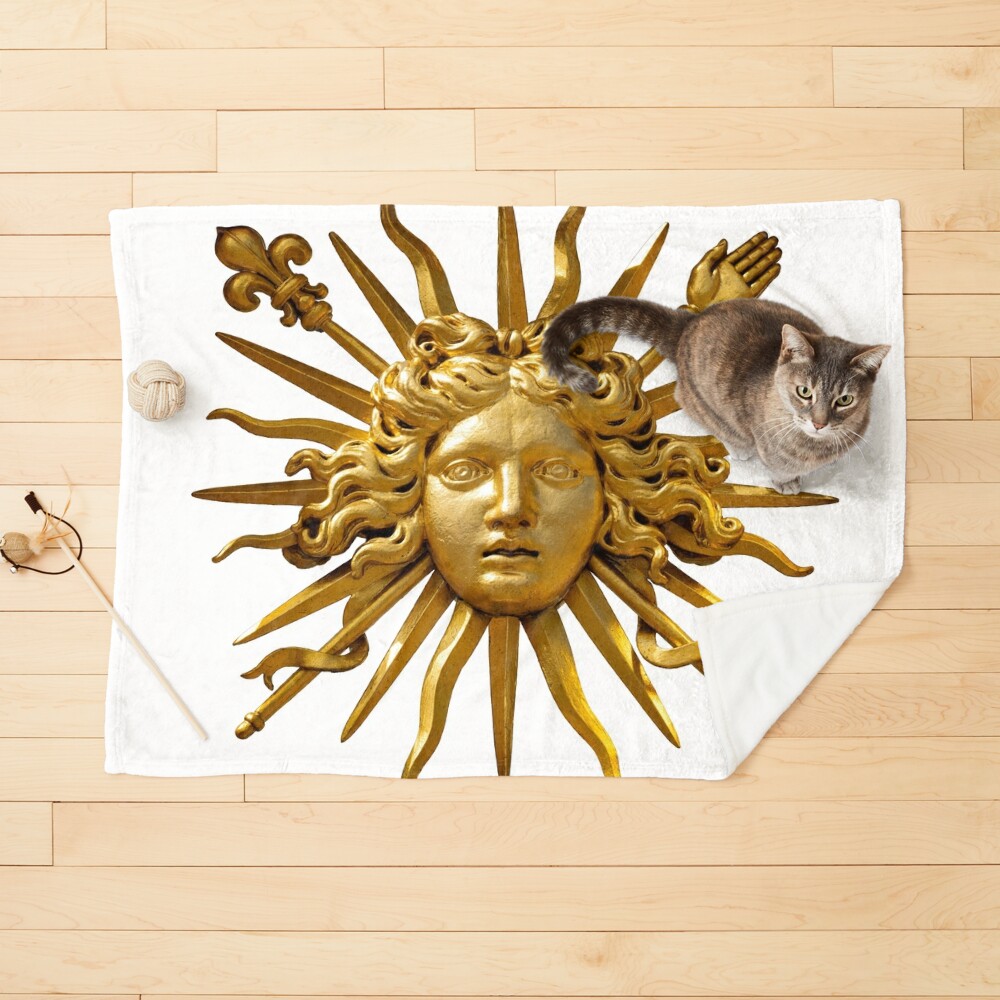 Symbol of Louis XIV the Sun King Poster | Zazzle
